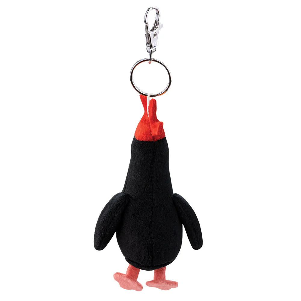 Feathers-The Key Clip - Image 4